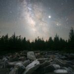 gray concrete bricks and pine tree field under starry sky